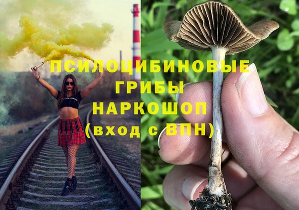 PSILOCYBIN Алексеевка