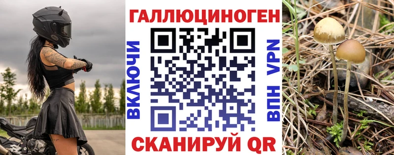 мега tor Кировград Псилоцибиновые грибы прущие грибы где купить наркотик